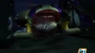 Beast Wars - Biocombat Tribute