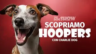 Scopriamo L' HOOPERS