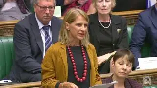 Great Repeal Bill Speech | Wera Hobhouse, MP for Bath | 11/09/2017