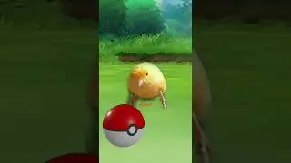 Einer cazado por pokeball. CANARIO ADIESTRADO EINER. TRAINED CANARY 114 / letig99