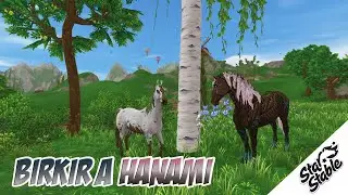 Birkir a Hanami ll Aktualizace #85 ll SSO CZ