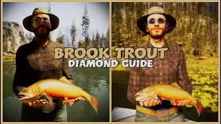 The ANGLER | Diamond Brook Trout Guide