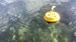 Remote control marker buoy for DF65 racing