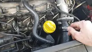 Renault scenic 2 1.9 dci 88kw worn oil rings???