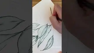 How to ENJOY painting watercolor transparent eucalyptus leaves 🍃 #watercolortechnique #art #shorts