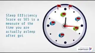 Sleep Efficiency CBT-I cognitive behavioral therapy for insomnia