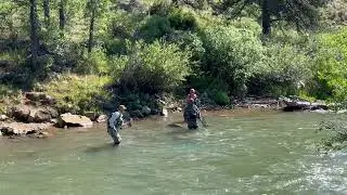 Patiently Playing a Big Trout to Dancin' Doug's Net