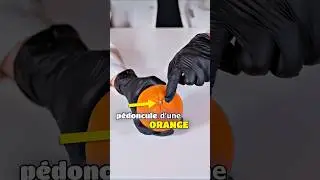 La fin est vraiment utile &agrave; savoir ! 🍊 #orange  #science #apprendre #scientifique