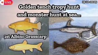 Golden tench trophy hunt | Deep sea fishing | Russian fishing 4 | Nanstein |  #rf4