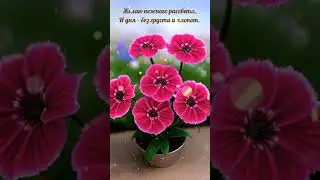 Доброе утро!