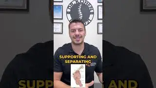 Unlock the Secrets of Fascia: The Body's Hidden Network