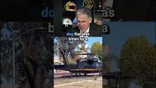 Rattlesnake Bites Hero K9 Dog #Police #k9unit #reaction