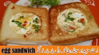 5-Minute Egg Sandwich Recipe | Quick & Easy Breakfast Idea 🍳🥪 Make a sandwich that will wow you