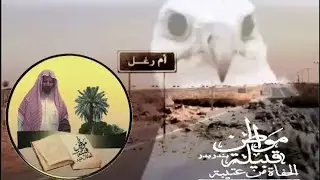 برنامج مواطن قبيلةالحفاه من عتيبه الجوله(١١)هجرة أم رغل