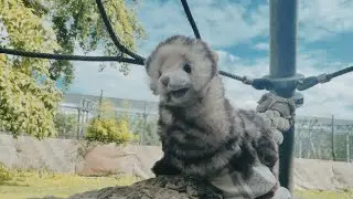 Folkmanis ferret puppet 2023