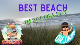 Going to Bodega Bay | You have to go to this beach!