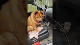 немного насобирали с Ритой грибов