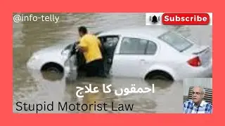 Stupid Motorist Law ----- A Law in Arizona
