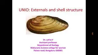 Mollusca: Unio morphology and shell structure