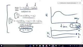 Dynamic Optimization Sensitivity in MATLAB and Python