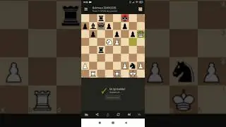 Lichess Puzzles 324663335