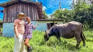 Итак&hellip; мы купили заброшенный фермерский дом&hellip;