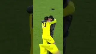 Funniest & Craziest Sideline Moments!