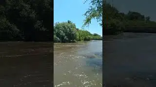 Опять потоп, в Спасске-Дальнем