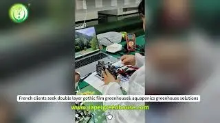 China Factory Agricultural Greenhouse Manufacturer