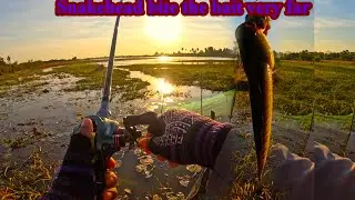 Fishing snakehead fish, I am very hard catching this fish, because the fish bite very far.