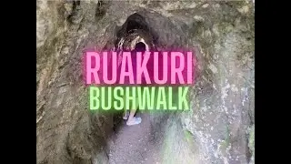 Ruakuri Bush Walk (Waitomo camping day 2)