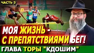 Глава Торы 