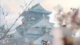 Japanese Sakura Temple - Relaxing Ambience & Music