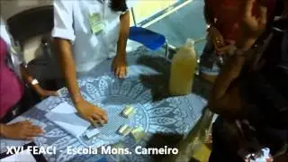 TV CHAVALZADA | Escola Monsenhor Carneiro de Chaval realiza a XVI FEACI |  03.10.14