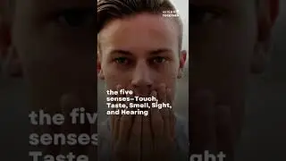 Humans Have More Than 5 Senses | Wiser Together