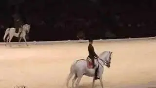 Pas de Deux - Dressage horses - Classical riding