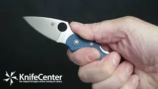 Spyderco Dragonfly 2 Lightweight Folding Knife