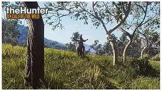 Exploring Emerald Coast on The Hunter: COTW