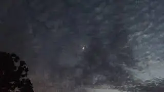 Ryan Gregory Tallman - Moonlet