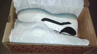 Vans AVE pro 2019