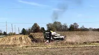 Allis Chalmers Gleaner L2 - Corn Harvest 2023 #1