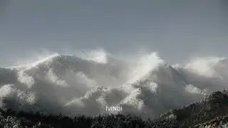 Noah Morgenwald - J&ouml;r&eth;