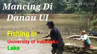 Mancing di Danau UI ,Strike nila tiada henti # Fishing at University of Indonesia Lake