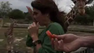 Miami Metro Zoo