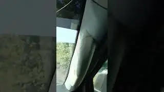 Наши Края... Оставляйте Ваши: Leave your: like👍comment💬 subscribe❤️