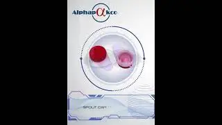 EOE, tin lids and PET components for metal packaging