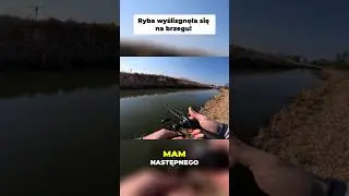 Wypłynęła WIELKA ryba! Niesamowity poł&oacute;w! #wobler #fishing #szczupak #okonie
