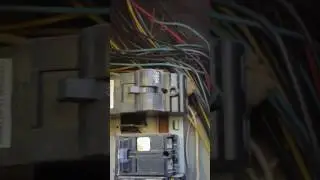How to clear insect dome inside an electrical panel.