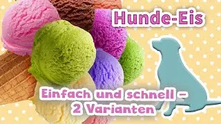 Leckeres Hunde-Eis selbstgemacht | DIY | 2 Varianten