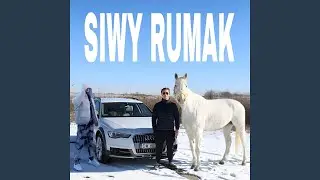 Siwy Rumak